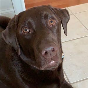 Meet your Posher, Christine